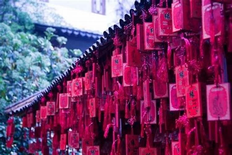 梦见妻子找我