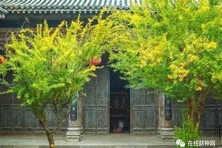 房屋的靠山代表什么,有何风水禁忌