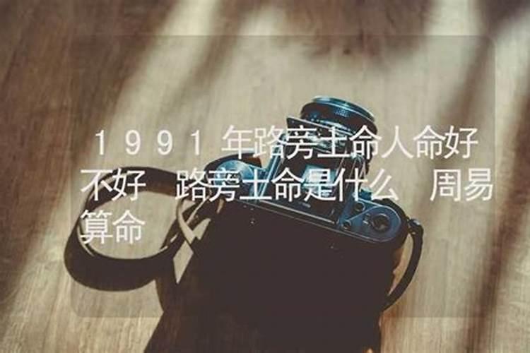 1991年腊月20出生的人是童子命吗