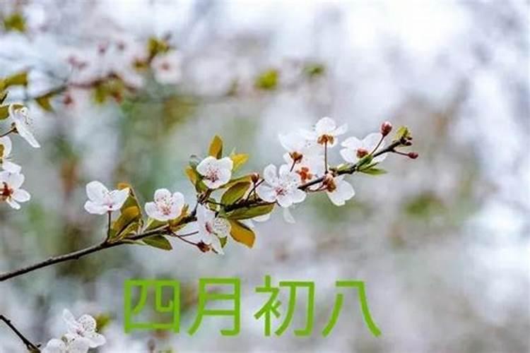 农历四月十一日子好不好