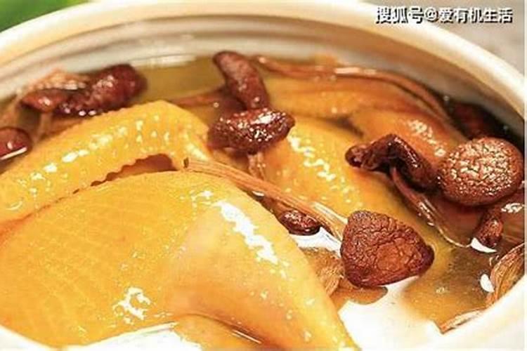 属龙明年本命年好吗 属龙2024龙年运势大全