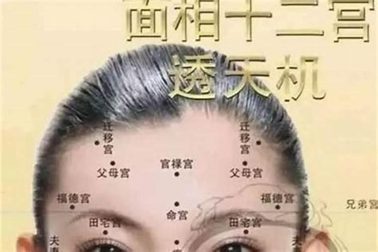 男属羊的和什么属相最合适