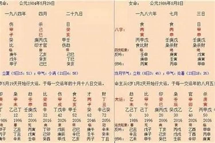 狗咬人的原因有哪些