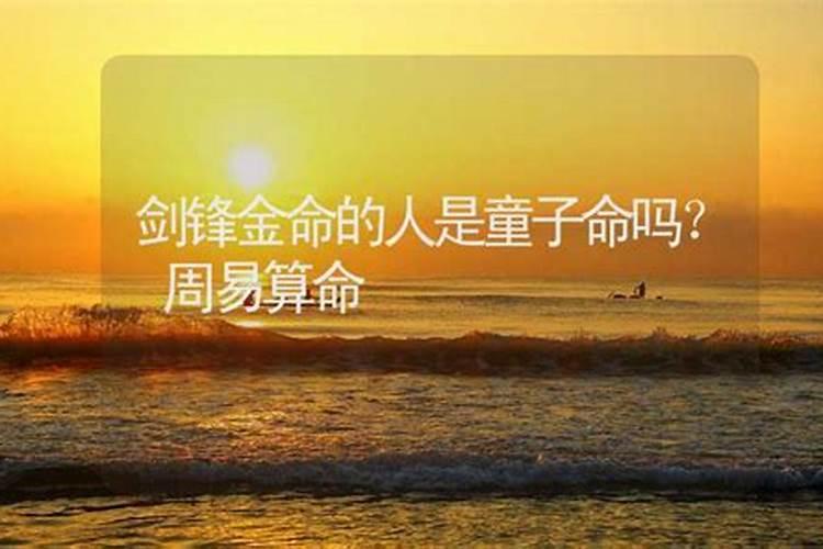 女人梦见满屋虫子是吉兆