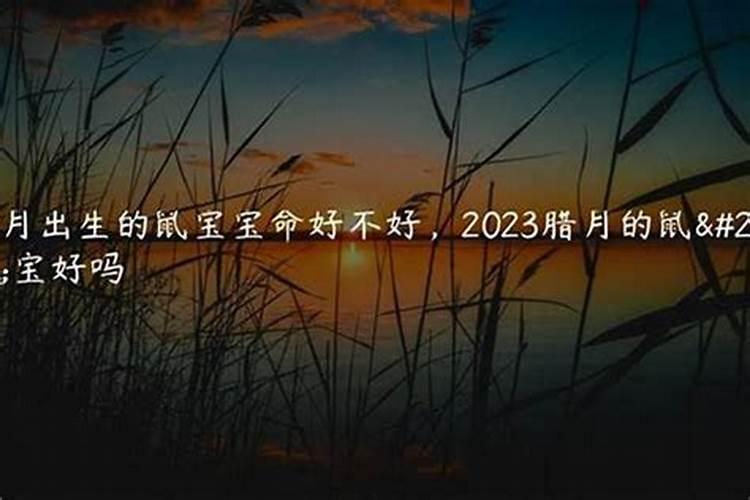 属鼠96年腊月下半月生人,结婚应该选哪几个月？