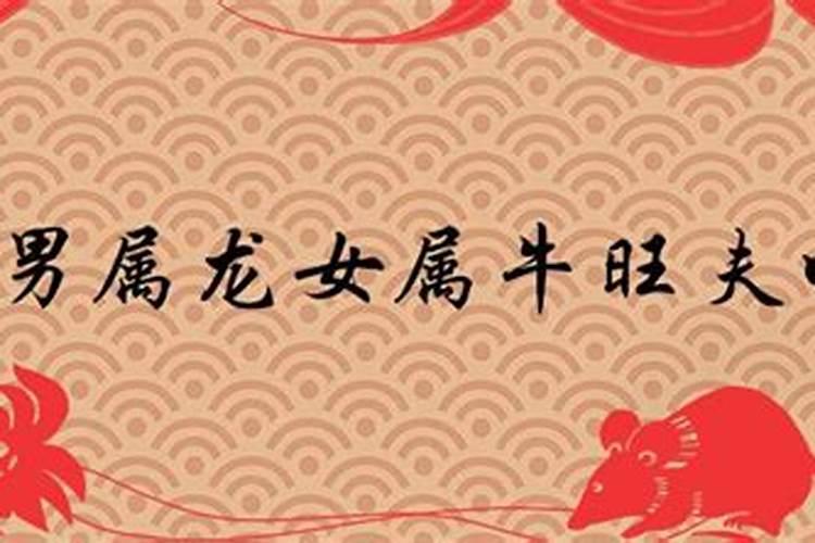 女的属牛男的属龙结婚合适吗