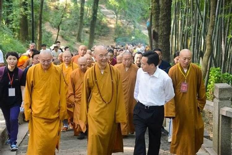去金泉寺旅行的参观攻略是什么？