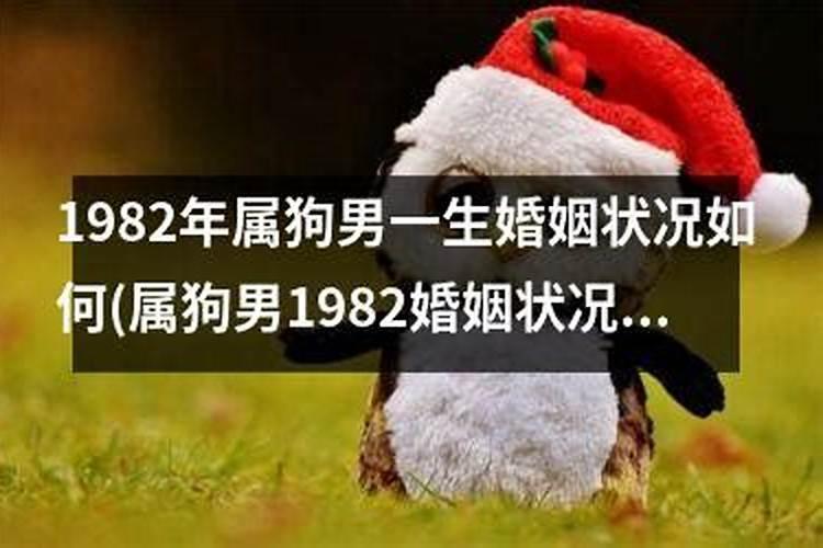 1982属狗人2025全年运势 1982狗在2025年运程
