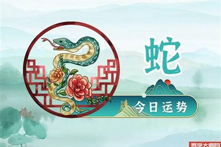 第一星座网每日运势查询 查看十二生肖每日运势