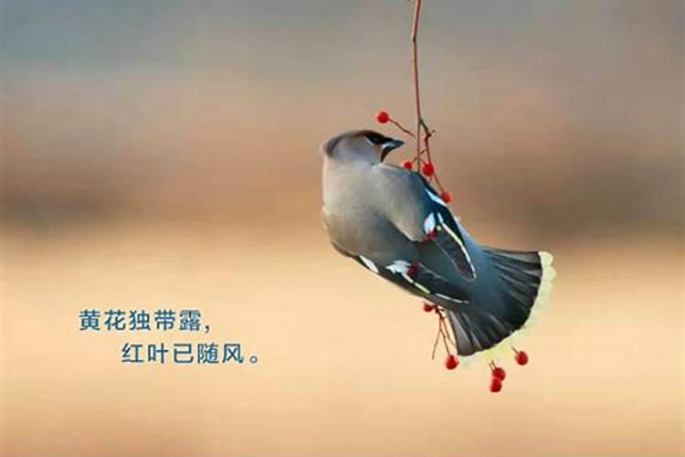 南京立冬有什么风俗