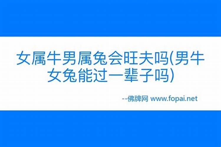 牛和兔的婚姻好吗？
