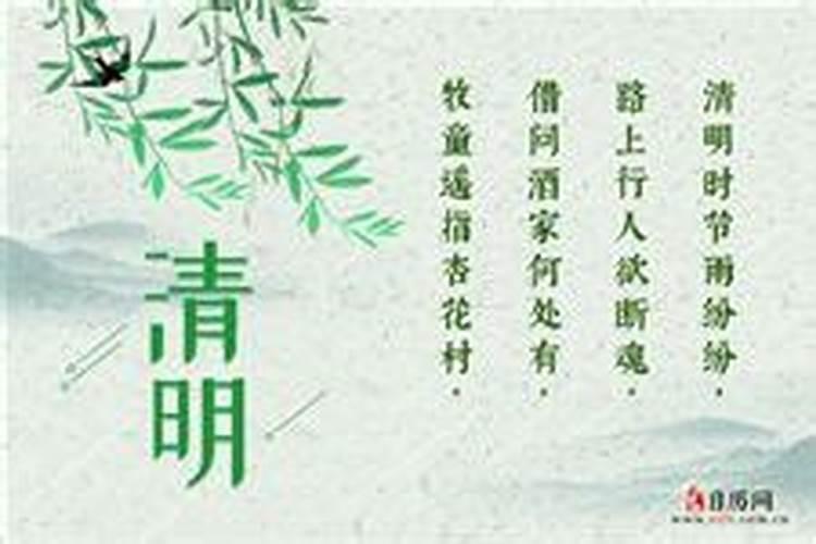 带来好运又旺财的女人网名,女性好听又聚财的名字