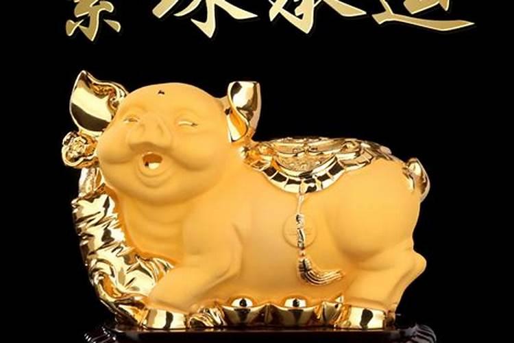 属猪选什么花草最旺运