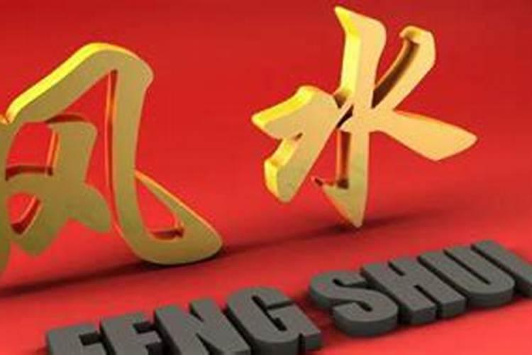 属猪养什么开运最旺运