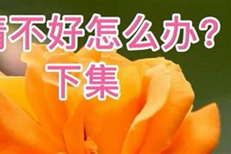 算命之后很害怕,每晚都睡不着觉怎么办