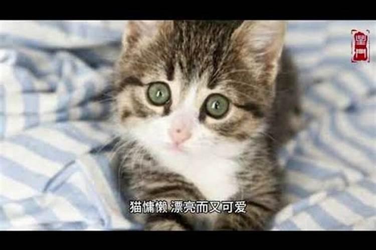 排八字年月日时怎么定阴阳男女？
