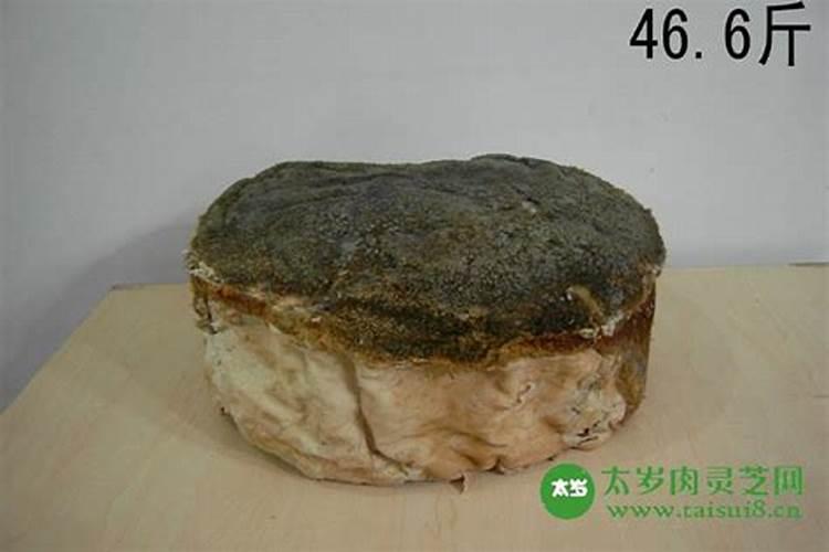 什么是太岁