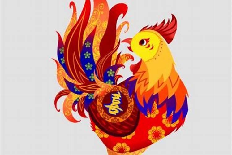 属鸡家里养什么最旺财运