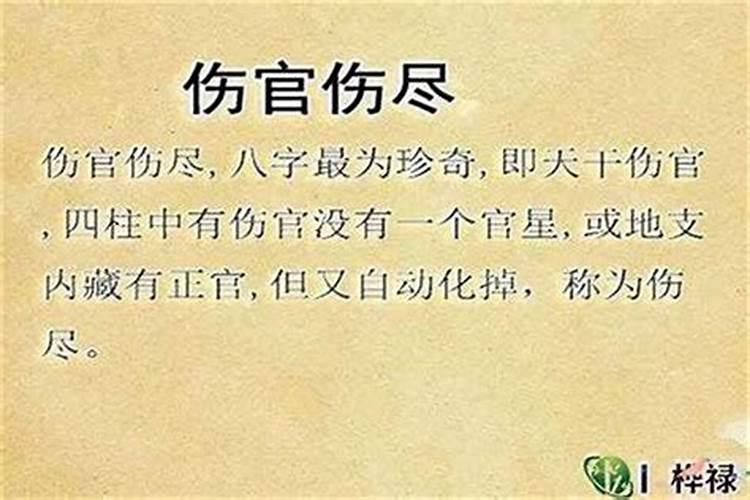 ...比肩、伤官、食神、正财、偏财 这个八字排盘是什么意思