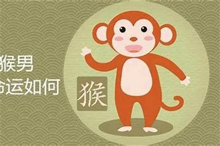 属猴的人2025年运势及运程每月运势如何