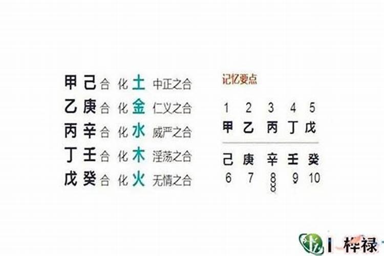 八字中的争合代表什么意思？