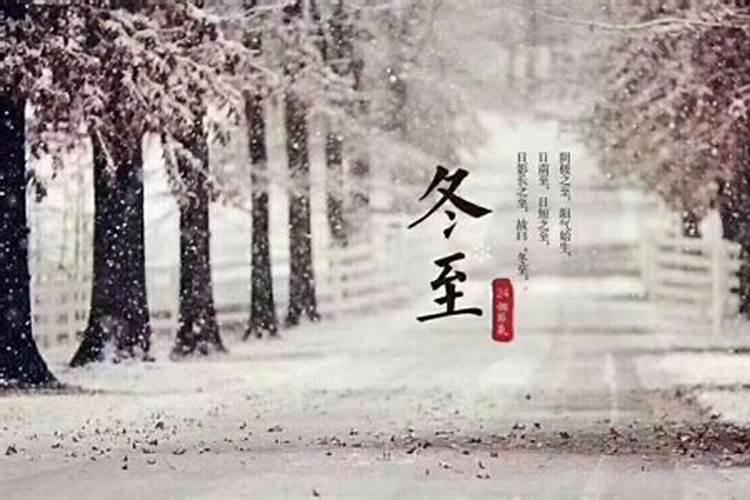 今年属鼠的财运和运气如何