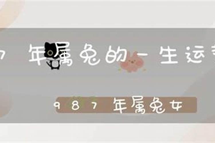 1987年属兔女一生的婚姻状况,87属兔的一生财运