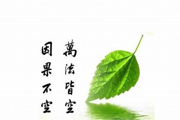 2000年属龙2025年运势及运程