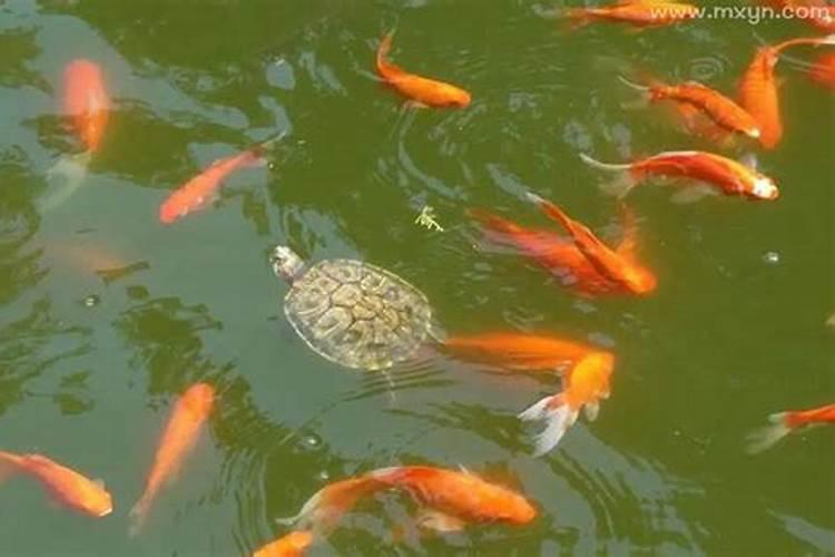 十月十五下元节出生的宝宝好吗什么时辰好