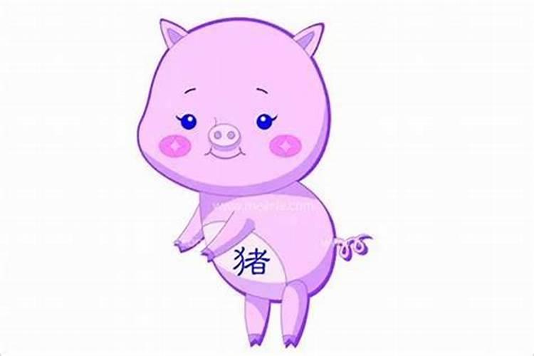 女孩属猪配什么属相最好