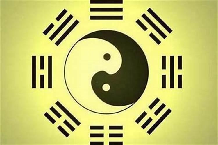 2025年的蛇五行属什么命