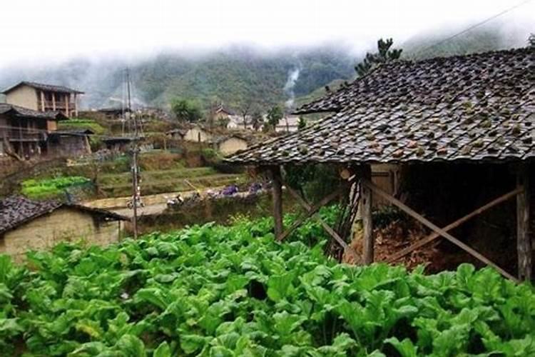 脸上痣能去掉吗