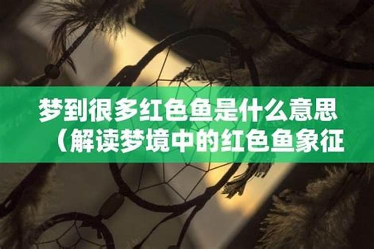 重阳节会冷吗 重阳节会不会冷