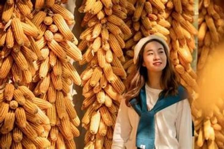 大气一点属兔史姓女孩名字大全