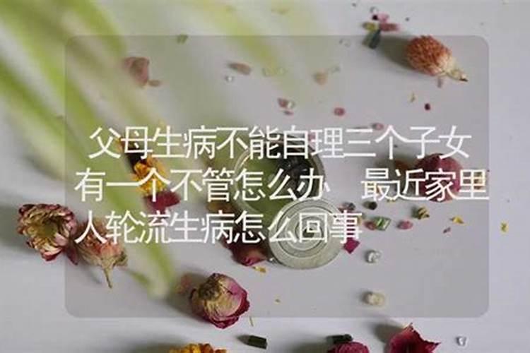 1975属兔的2025年运势和财运怎么样