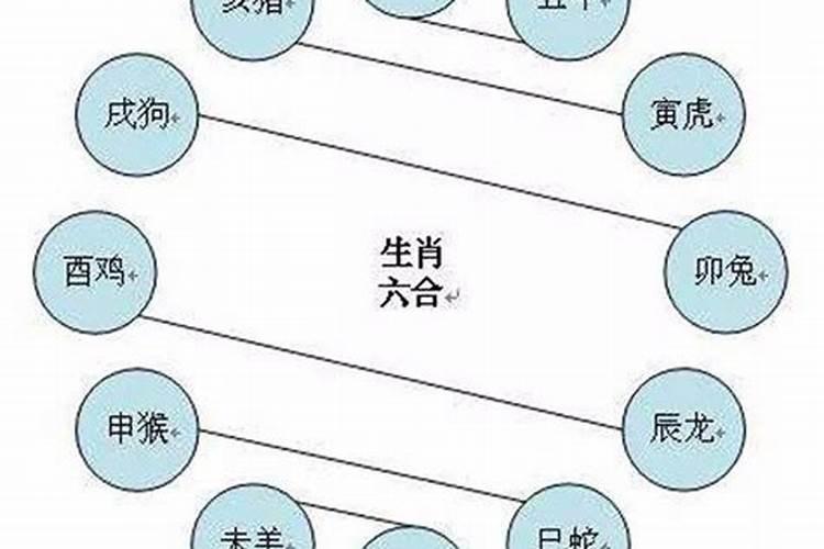 六冲夫妻真的不要结婚