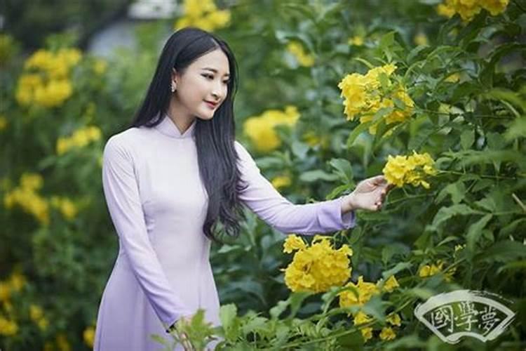 66年属马人2024年运势怎么样