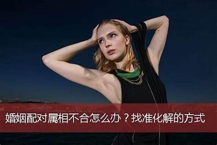 梦见离家出走的姐姐回来了的预兆
