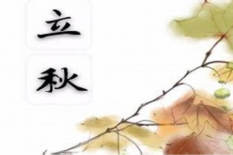 梦见大海龟的预兆