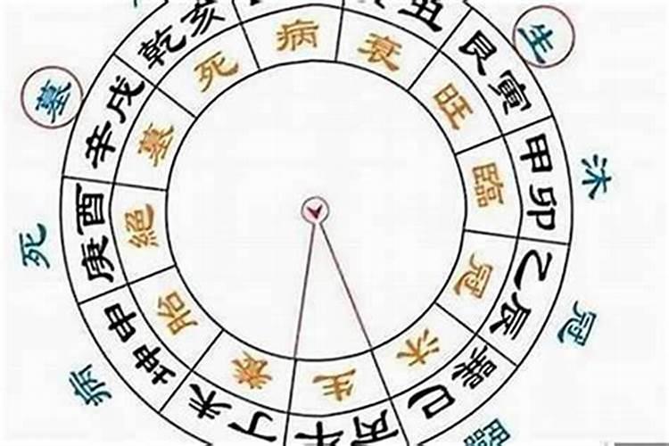 幼儿园节日活动《好吃的粽子》教案