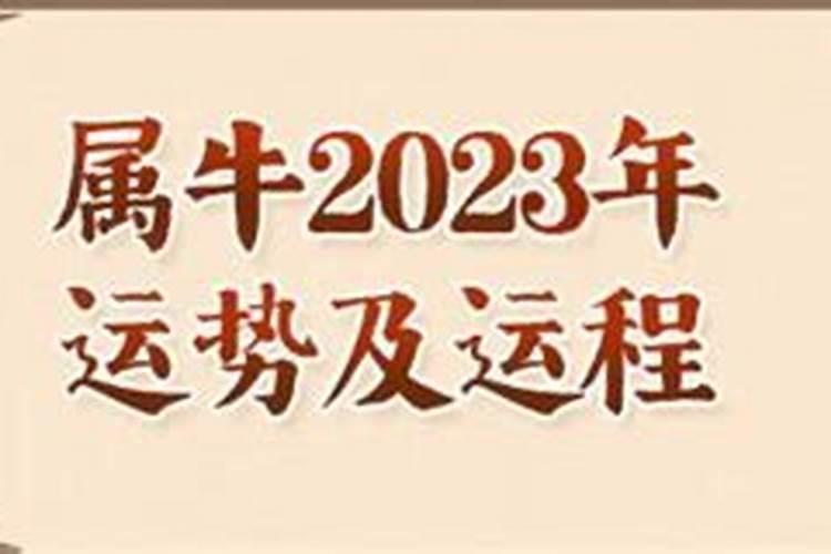 本人想学习四柱八字。小白一个新手入门。但不知从何入手,要先学什么...
