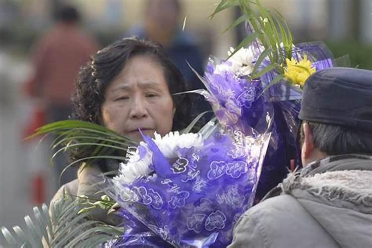 出生于1954年农历4月24日女马在2020年的运势？