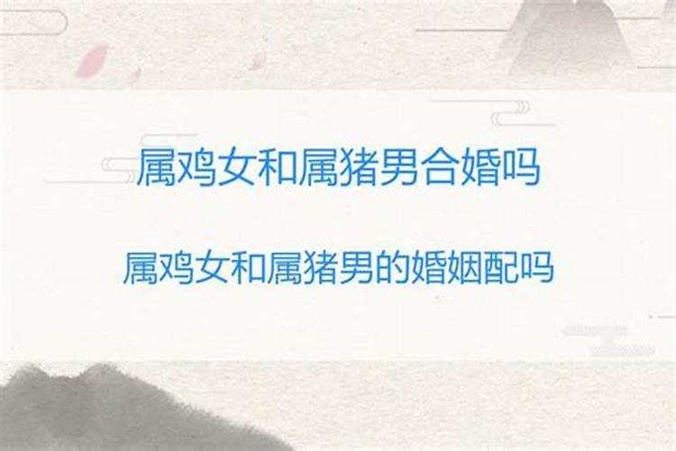 属羊女和属鸡男的婚姻相配吗