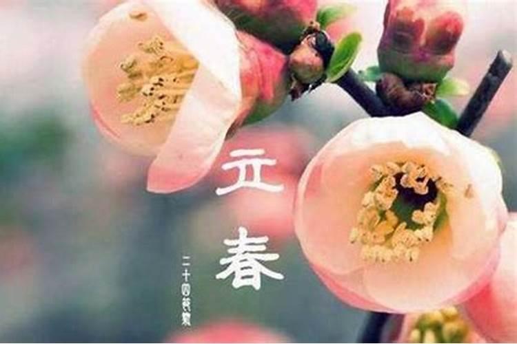我想请问一下80年11月20是阴历出生的,是什么星座