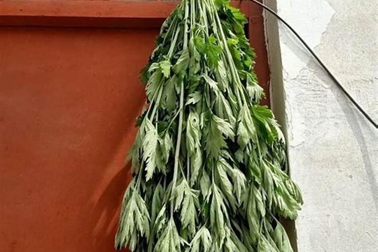 打牌运气不好总是输钱怎么办,打牌运气不好怎么转运