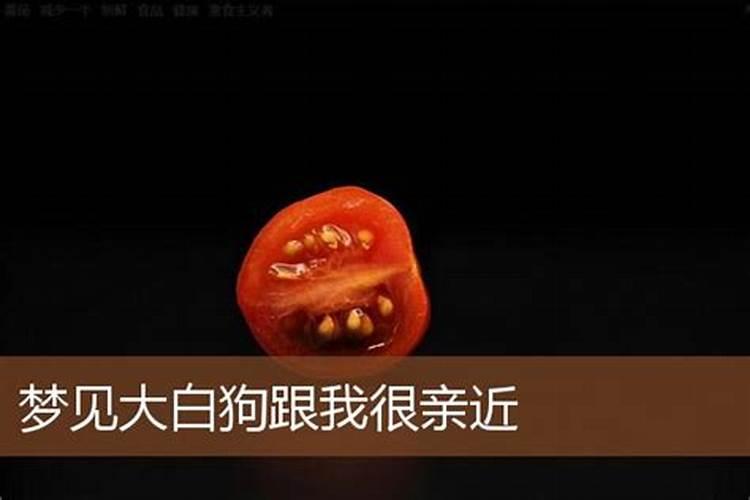 本命年能去寺庙烧香拜佛吗？