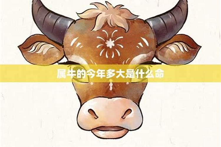 旺桃花催姻缘方法