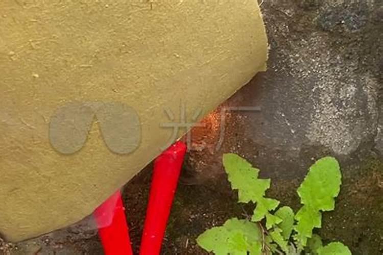 你相信缘分？相信星座吗？