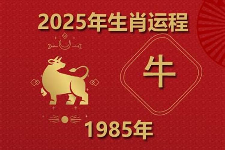 85年属牛 2025年整体运势