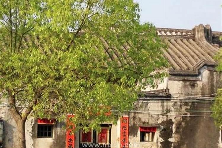 梦见回家过年是什么意思